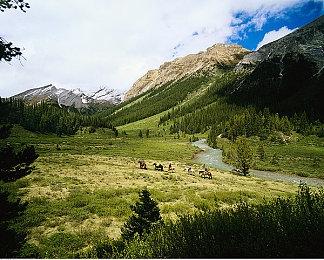 《哆啦A梦 大雄的牧场物语2》新CM公开 11月2日正式发售